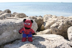 Spider-bear at the Gulf of Mexico