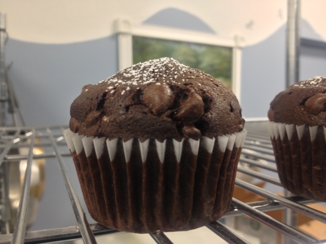 Chocolate Chocolate Chip Muffin